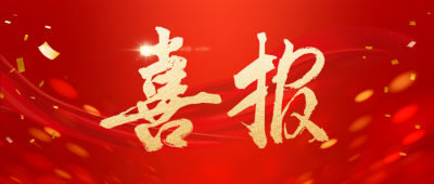 喜報 | “克拉霉素”入選浙江省制造業(yè)單項冠軍名單！